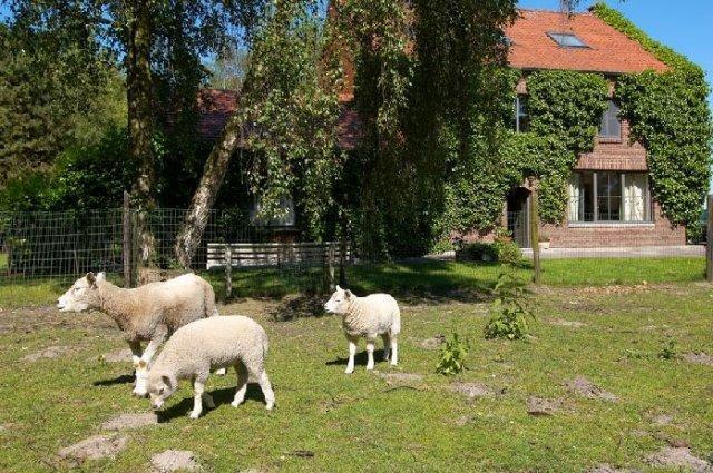 B&B De Passerel Бре Экстерьер фото